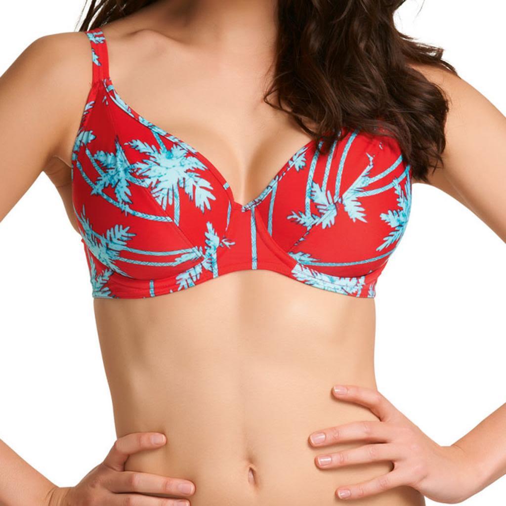 Freya South Pacific U/W Deep Plunge Bikini Top, Red